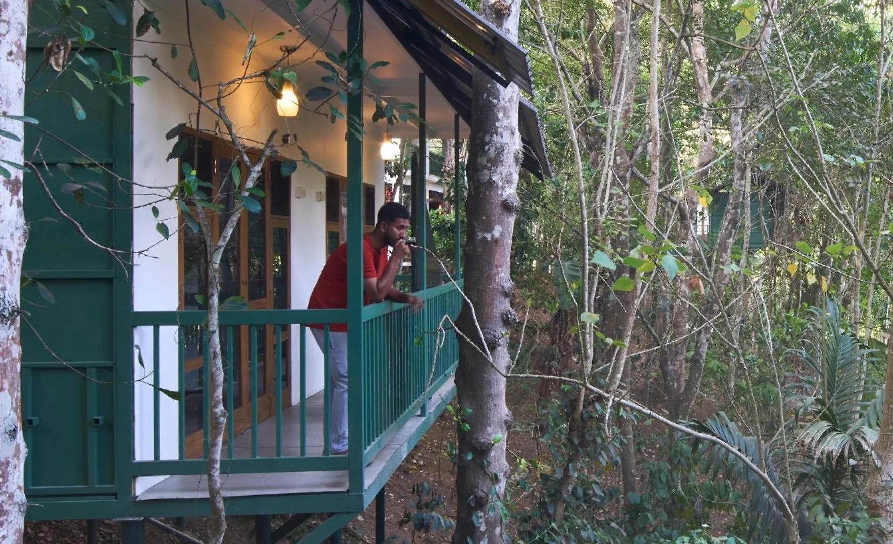 Curly Wood By Cluster Cloud Hotel Thekkady